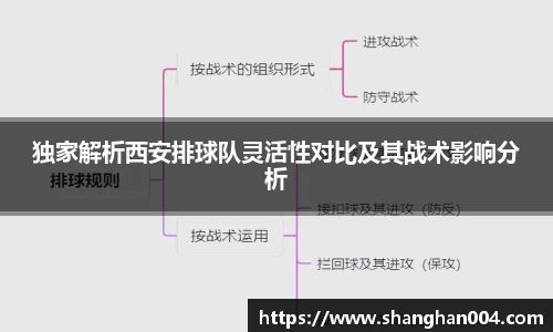 独家解析西安排球队灵活性对比及其战术影响分析
